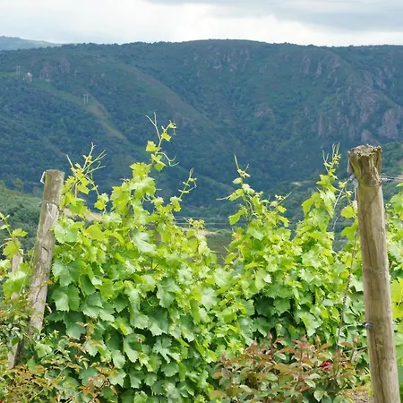 Appartamento A Forxa Casa Ferrador Ribeira Sacra