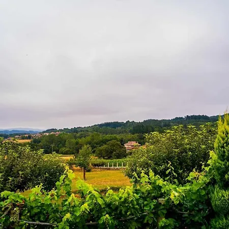 A Forxa Casa Ferrador Ribeira Sacra 아파트 소베르
